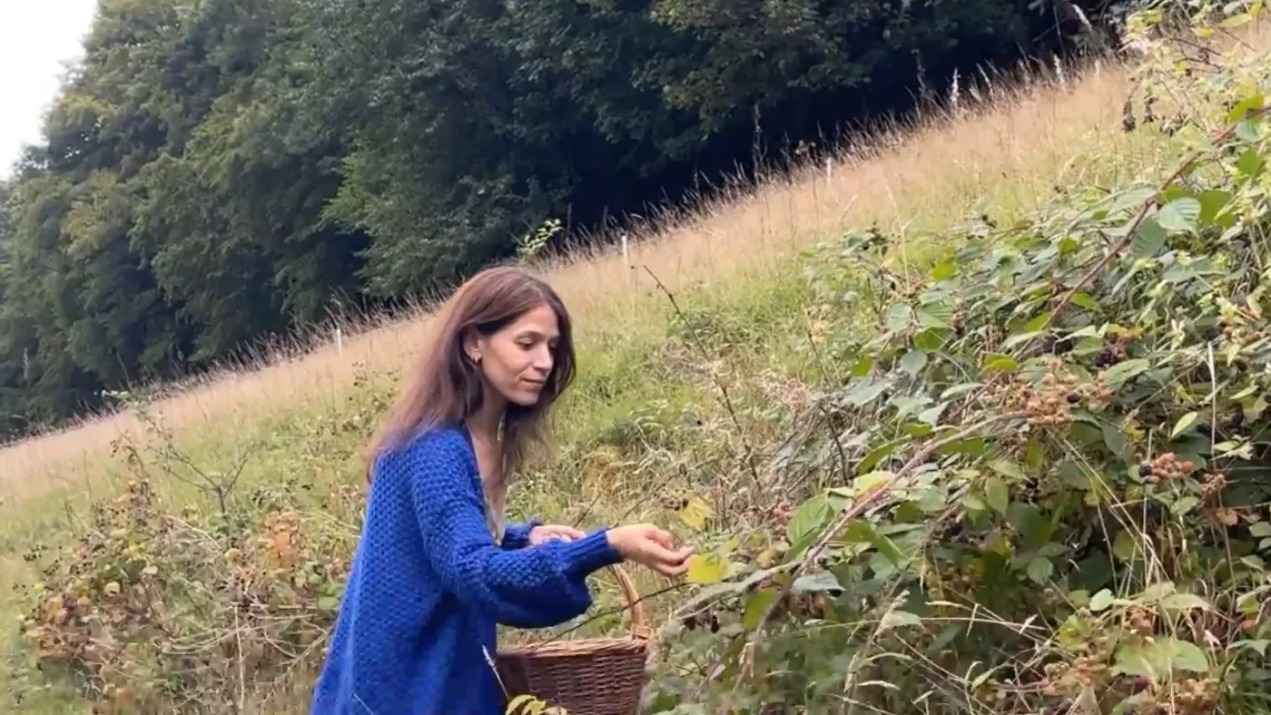 Cueillette de mûres dans le bocage