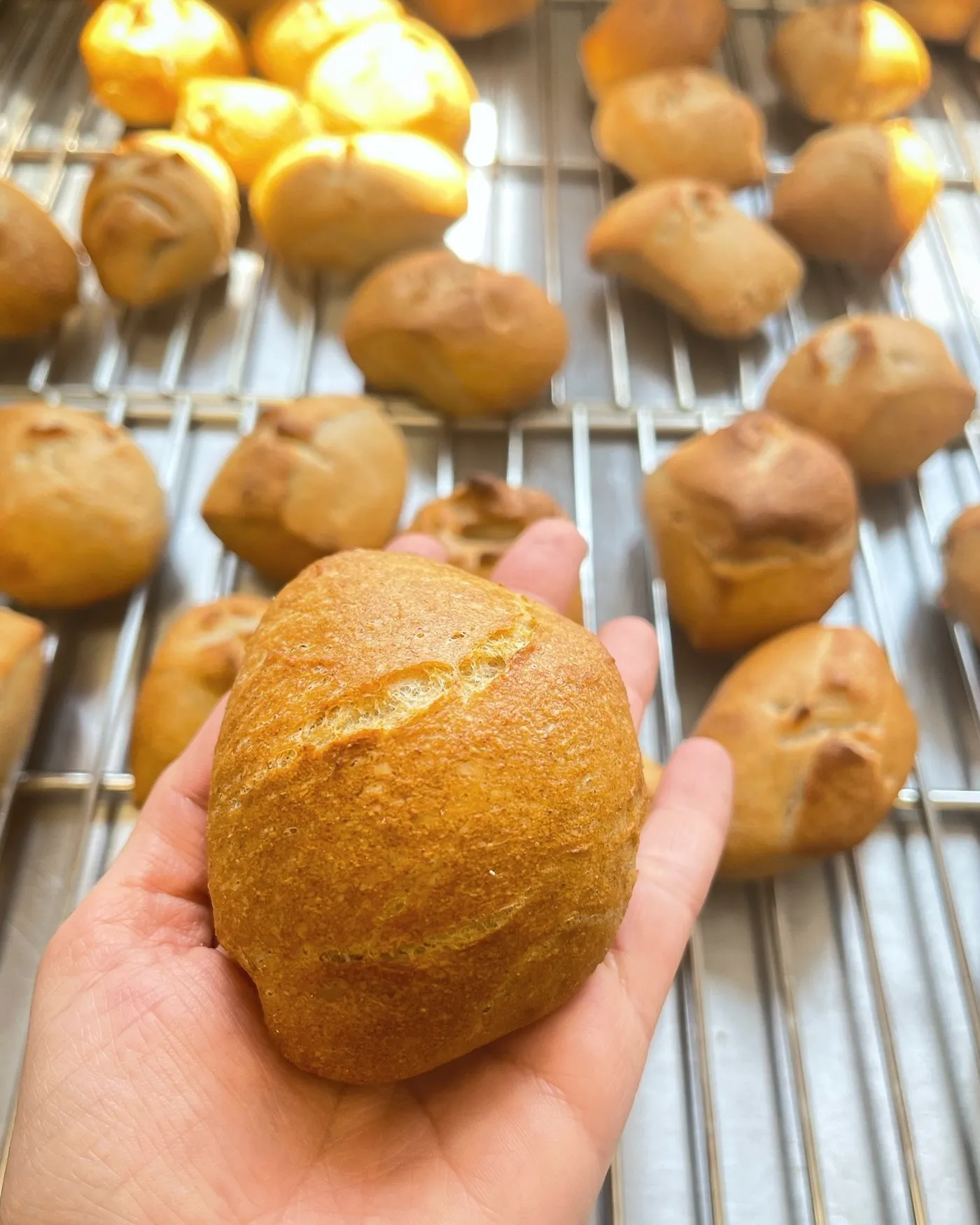 Le pain au levain maison, à la farine Histoire d’un grain
